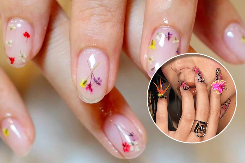 Blooming floral designs 